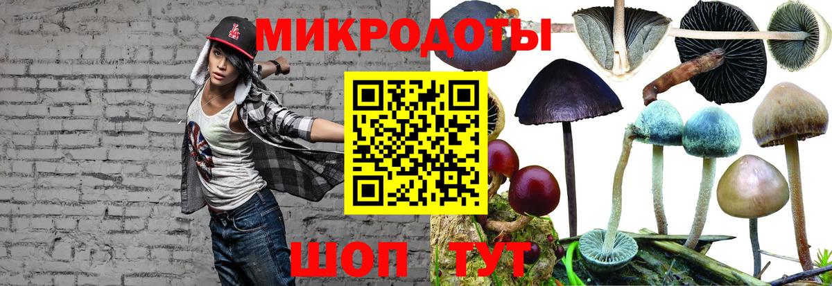 Камень-на-Оби  Галлюциногенные грибы Psilocybine cubensis  Псилоцибиновые грибы мицелий  Вход с VPN 