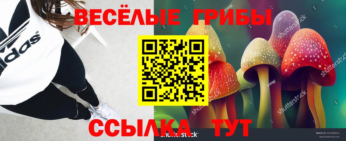 Псилоцибиновые грибы мицелий Камень-на-Оби